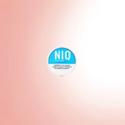 NIQ Pouches 20 Chłodna Mięta