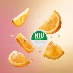 NIQ Saszetki 20 Wintergreen