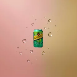 FW Aromat Ginger Ale rozpuszczalny w wodzie, bez diacetylu